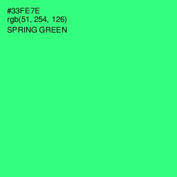 #33FE7E - Spring Green Color Image